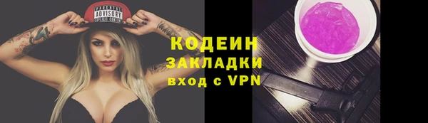 ПСИЛОЦИБИНОВЫЕ ГРИБЫ Кукмор