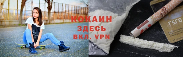 ПСИЛОЦИБИНОВЫЕ ГРИБЫ Кукмор